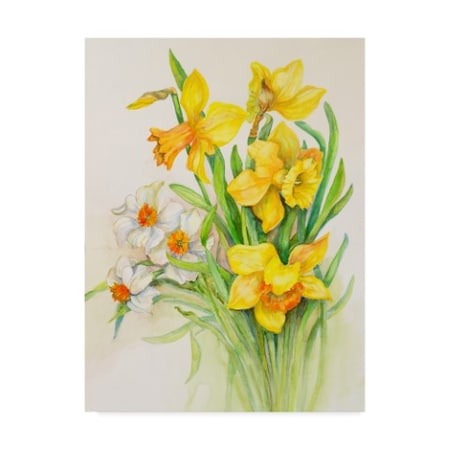TRADEMARK FINE ART Joanne Porter 'Daffodils Springs Calling Card' Canvas Art, 14x19 ALI30592-C1419GG